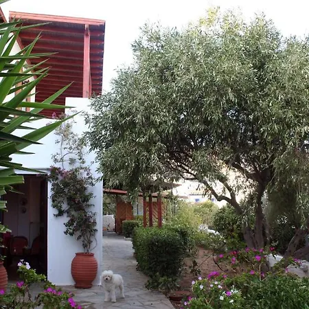 Anemoesa Apartment Batsi  Exterior photo