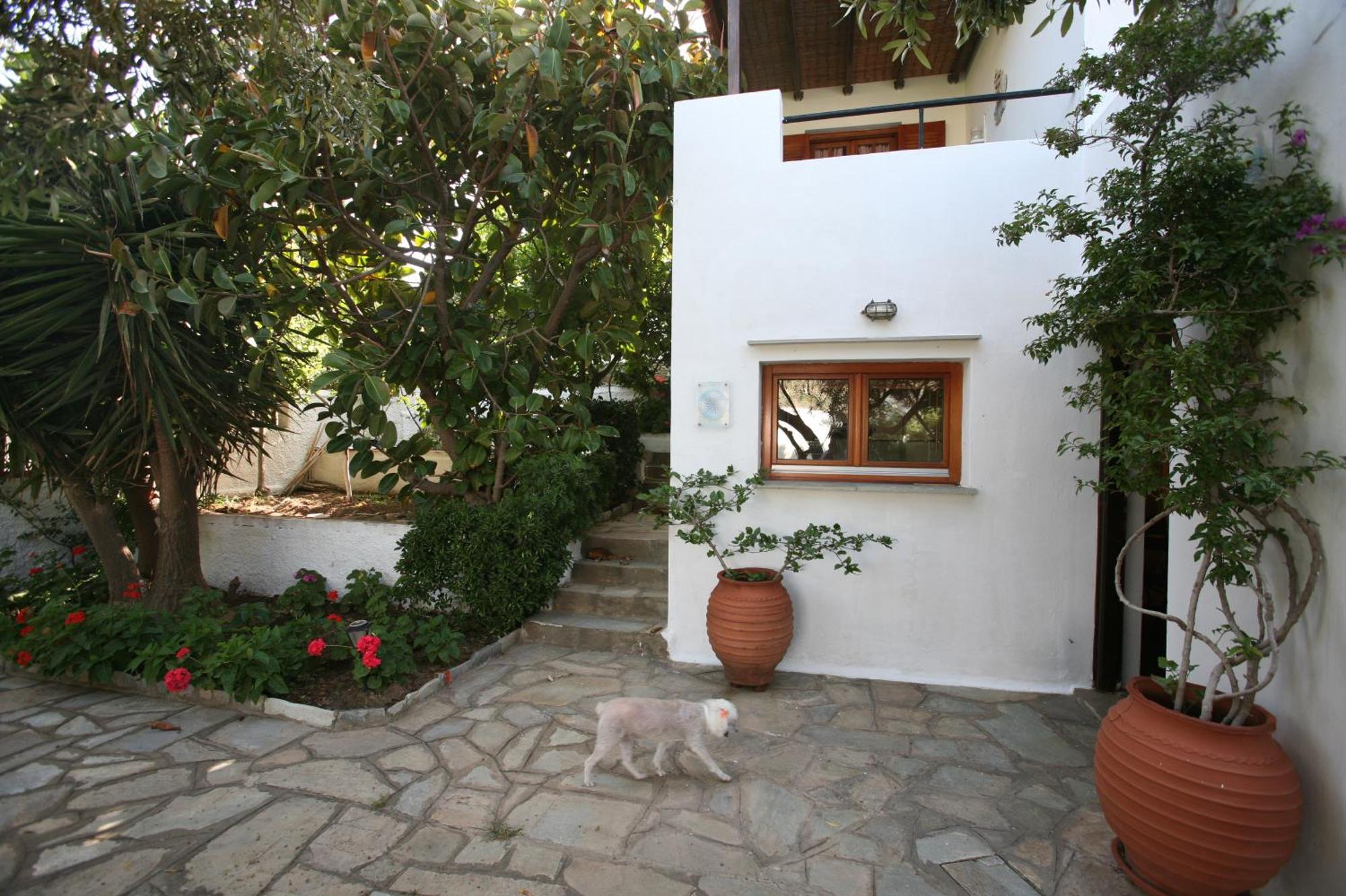 Apartment Anemoesa *